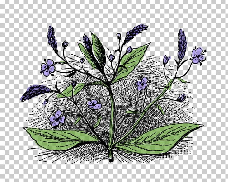 Wildflower Flora Art PNG, Clipart, Art, Black And White, Botanical Illustration, Branch, Cut Flowers Free PNG Download