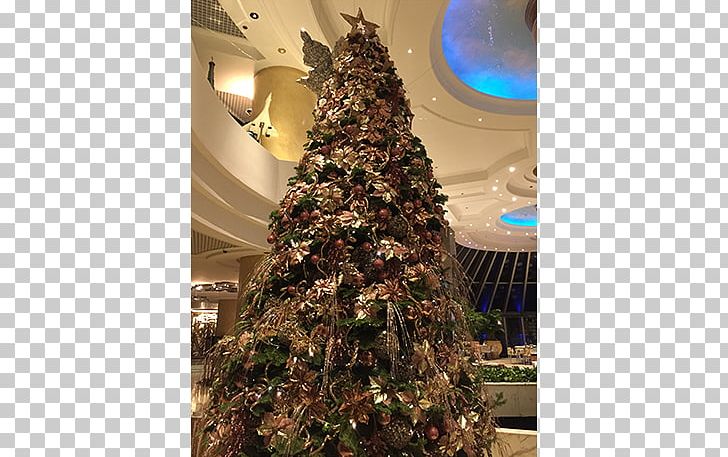 Christmas Tree Bukit Timah Spruce PNG, Clipart, Bukit Timah, Christmas, Christmas Decoration, Christmas Ornament, Christmas Tree Free PNG Download