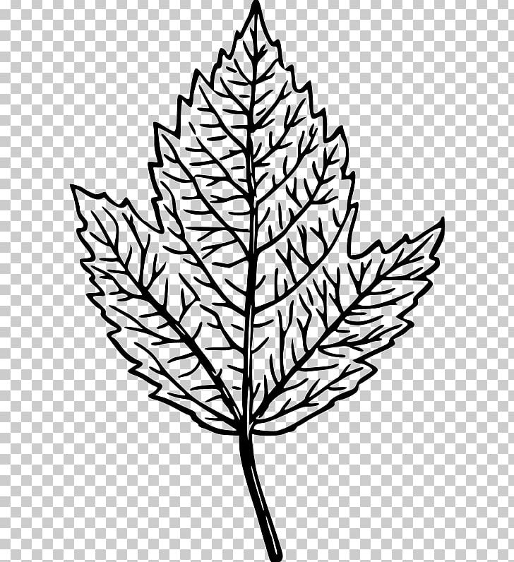 Drawing PNG, Clipart, Artwork, Black And White, Branch, Computer Icons, Digital Scrapbooking Free PNG Download