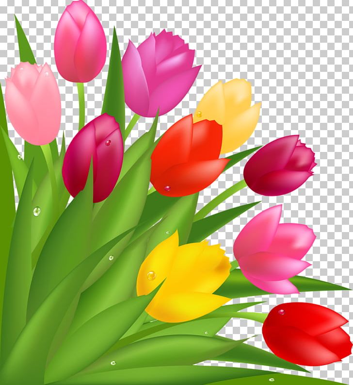 Flower Bouquet Tulip Mothers Day PNG, Clipart, Beautiful Girl, Beauty, Beauty Salon, Beauty Vector, Bride Free PNG Download