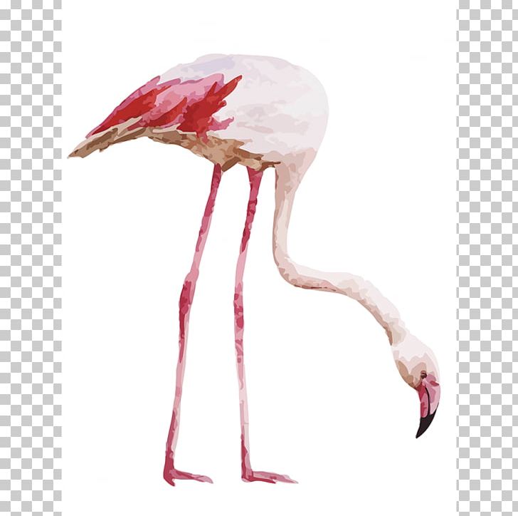 Drawing Watercolor Painting Flamingo PNG, Clipart, Animals, Art, Beak, Bird, Birdie Free PNG Download