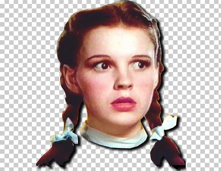 Judy Garland The Wizard Of Oz Dorothy Gale Friend Of Dorothy Land Of Oz PNG, Clipart, Art Museum, Cheek, Chin, Clothing, Costume Free PNG Download