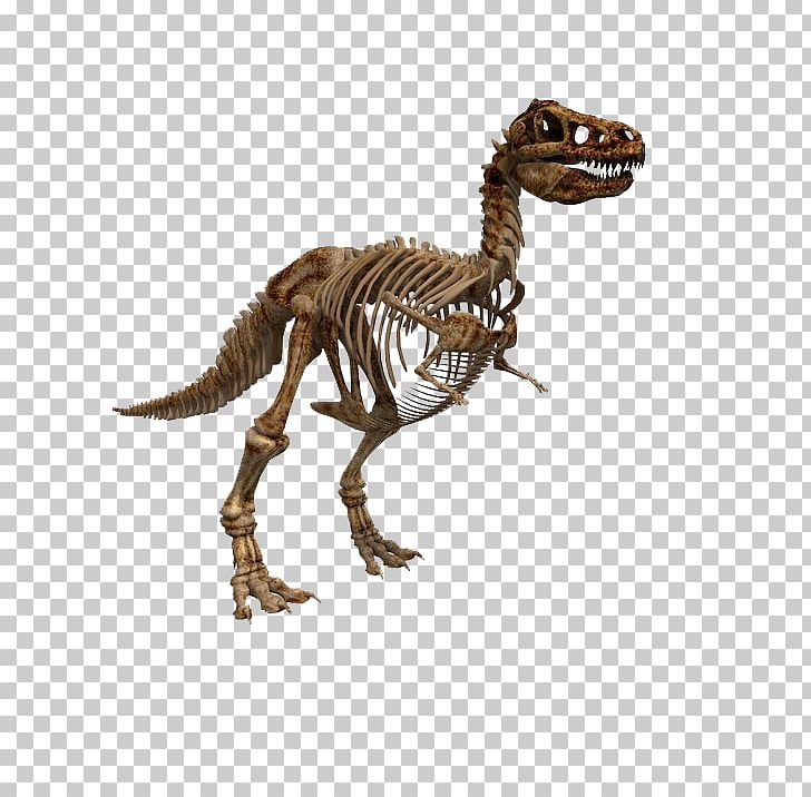 Tyrannosaurus Dinosaur Fossil Graphics Stock.xchng PNG, Clipart, 3 D Cartoon, Animal Figure, August 1, Cartoon Character, Dinosaur Free PNG Download