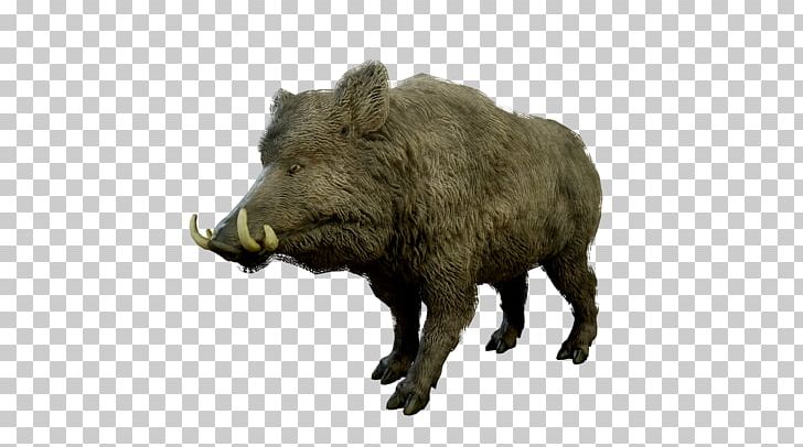 Wild Boar Peccary Mammal Wildlife Animal PNG, Clipart, Animal, Boar, Cattle, Cattle Like Mammal, Fauna Free PNG Download
