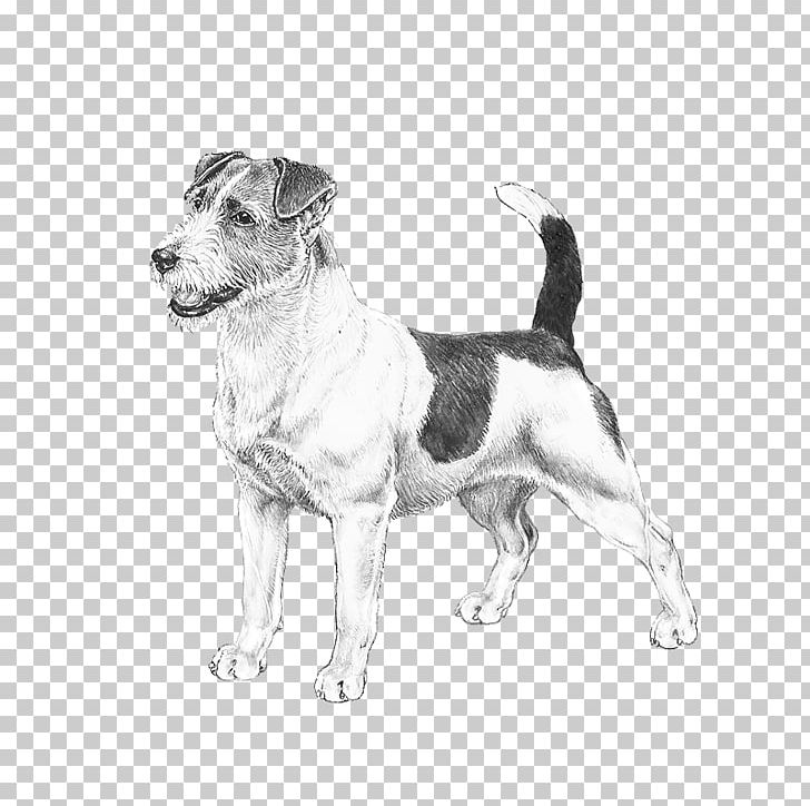 Dog Breed Jack Russell Terrier Puppy American Staffordshire Terrier Bergamasco Shepherd PNG, Clipart, American Staffordshire Terrier, Animals, Bergama, Black And White, Breed Free PNG Download