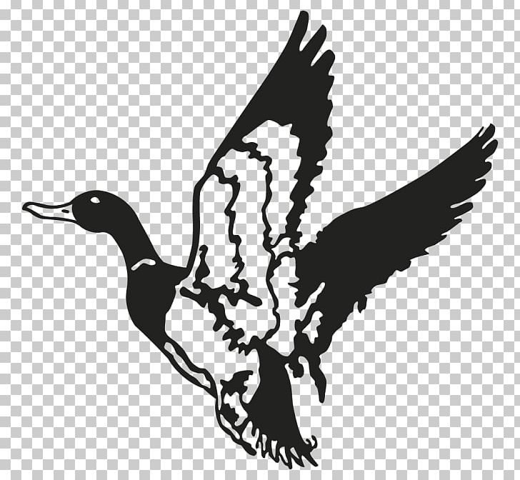 Duck Mallard Decal Waterfowl Hunting PNG, Clipart, Animals, Beak, Bird, Black And White, Bumper Sticker Free PNG Download