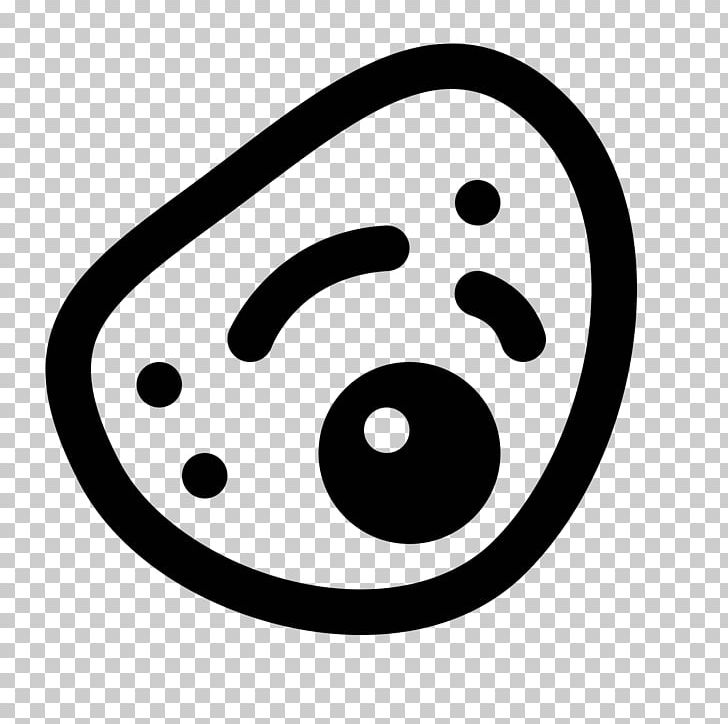 Eukaryote Cell Cèl·lula Eucariota Computer Icons PNG, Clipart, Black And White, Cell, Cell Nucleus, Cellulose, Circle Free PNG Download