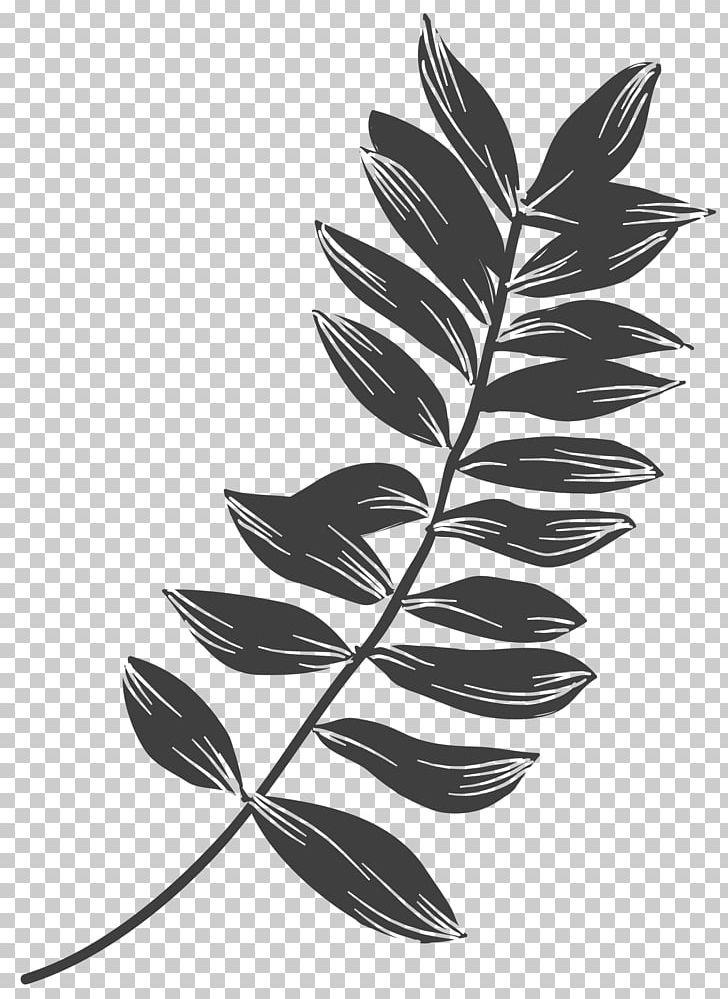 Plant Leaves Leaf Black And White PNG, Clipart, Animation, Autumn Leaves, Banana Leaves, Black, Black Free PNG Download
