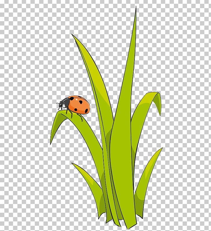Free Content PNG, Clipart, Animation, Fictional Character, Flower, Grass, Insects Free PNG Download