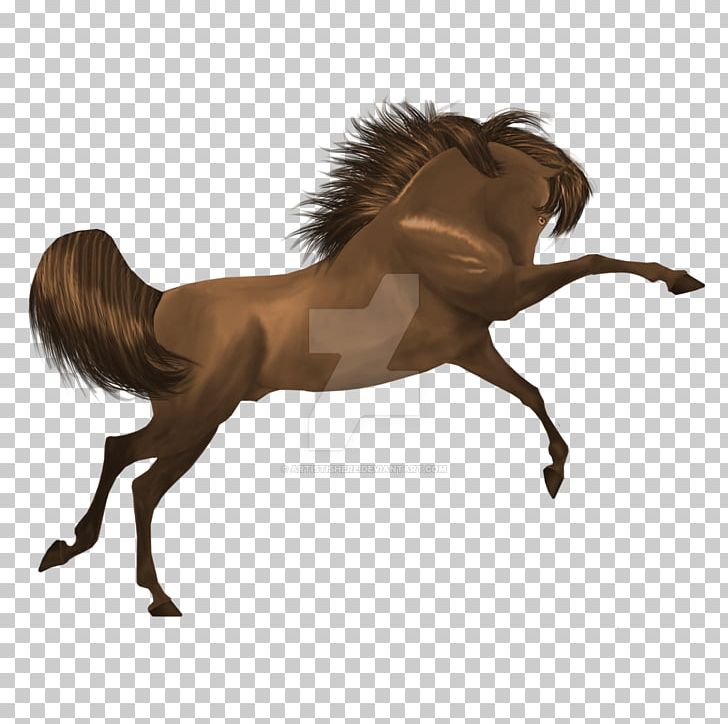 Mane Mustang Stallion Mare Bridle PNG, Clipart, Bridle, English Riding, Equestrian, Halter, Horse Free PNG Download