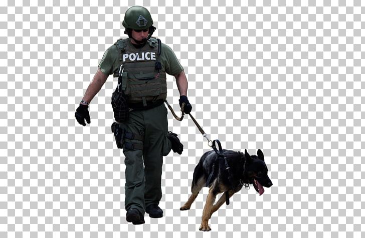 Police Dog Dog Breed Leash PNG, Clipart, Animal, Animal Control And Welfare Service, Attack Dog, Attack Police, Breed Free PNG Download