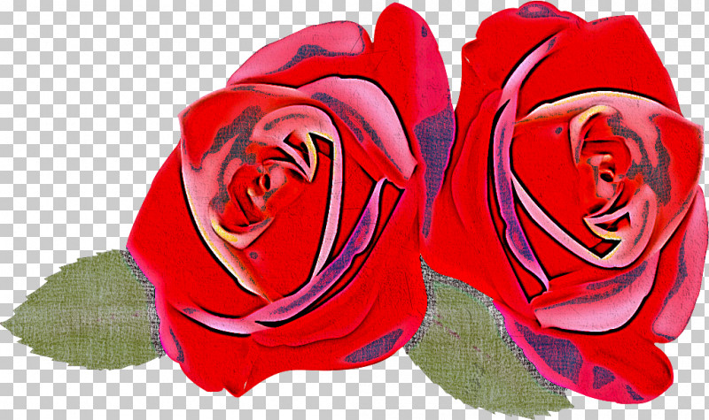Two Flowers Two Roses Valentines Day PNG, Clipart, China Rose, Cut Flowers, Floribunda, Flower, Garden Roses Free PNG Download