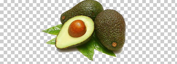 Avocado PNG, Clipart, Avocado Free PNG Download