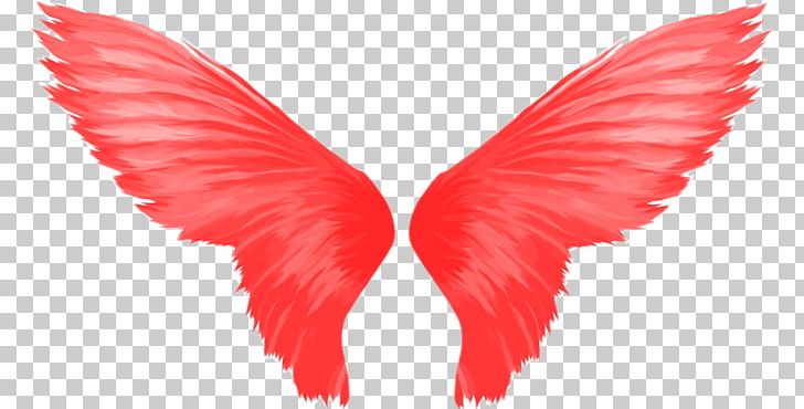 Black Wings PNG, Clipart, Beak, Black Wings, Desktop Wallpaper, Download, Drawing Free PNG Download