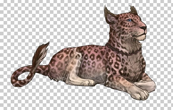 Cheetah Big Cat Leopard Rose PNG, Clipart, Animal, Animal Figure, Animals, Big Cat, Big Cats Free PNG Download