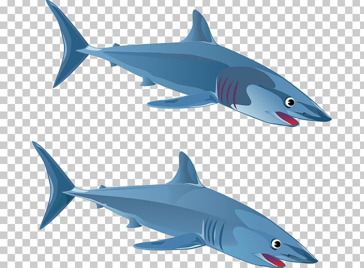 Blue Shark Great White Shark PNG, Clipart, Blue Shark, Bull Shark, Cartilaginous Fish, Drawing, Fauna Free PNG Download