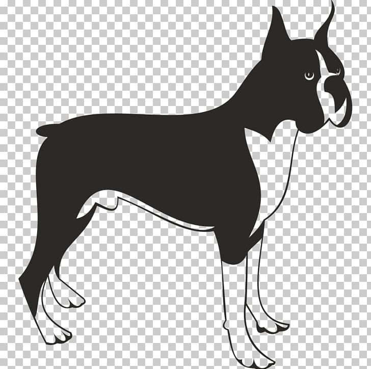 Boxer PNG, Clipart, Animal, Black And White, Boston Terrier, Boxer, Boxer Dog Free PNG Download