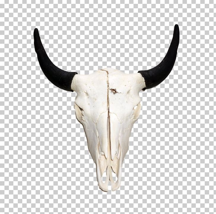 Antelope Antler Horn American Bison Stock Photography PNG, Clipart, American Bison, Animals, Antelope, Antler, Bison Free PNG Download