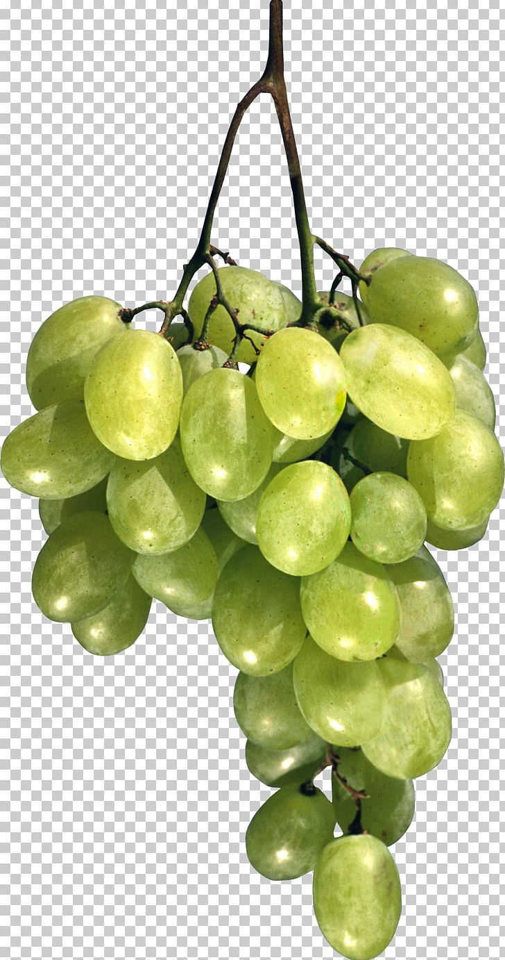 Grape PNG, Clipart, Grape Free PNG Download