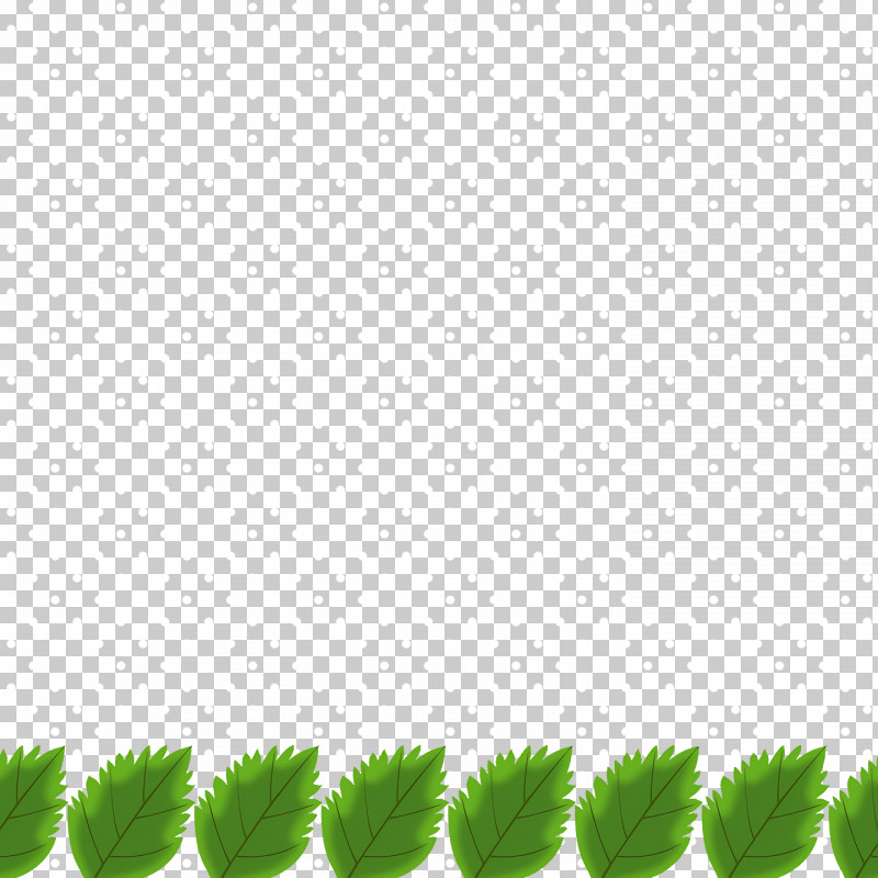 Leaf Green M-tree Font Line PNG, Clipart, Biology, Green, Leaf, Line, Meter Free PNG Download