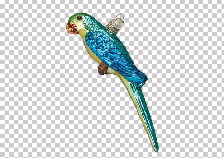 Budgerigar Parakeet Lovebird Macaw PNG, Clipart, American Robin, Animals, Beak, Bird, Blackcapped Chickadee Free PNG Download