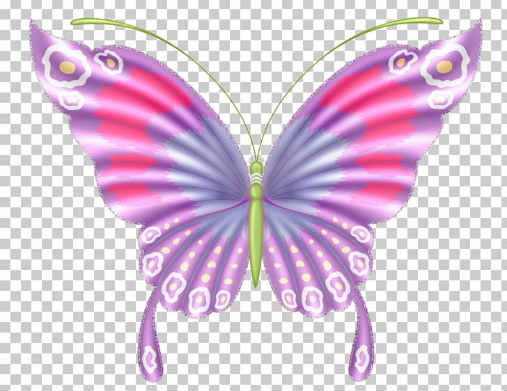 Butterfly Insect Color PNG, Clipart, Arthropod, Blue, Brush Footed Butterfly, Butterflies And Moths, Butterfly Free PNG Download