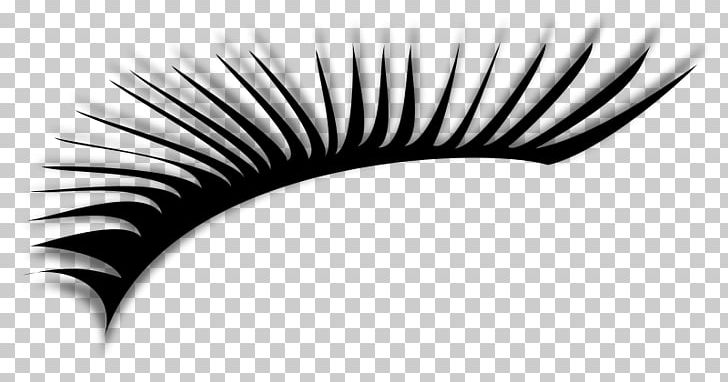 Eyelash Extensions Cosmetics PNG, Clipart, Artificial Hair Integrations, Beauty, Black, Black And White, Clip Free PNG Download