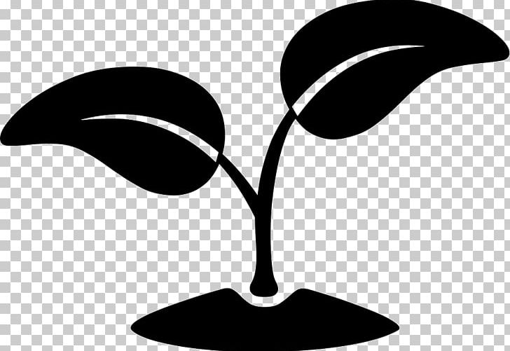 Natural Environment Computer Icons Environmental Stewardship PNG, Clipart, Apple, Artwork, Black And White, Branch, Computer Icons Free PNG Download