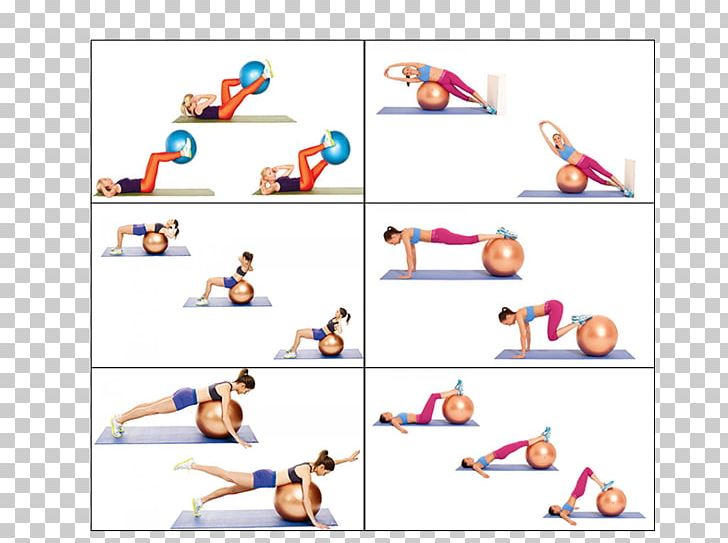 Exercise Balls Trening Kardio Sport Physical Fitness PNG, Clipart, Area, Arm, Ball, Exercise Balls, Joint Free PNG Download
