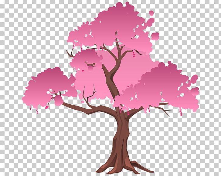 Japanese Maple Red Maple Tree Bonsai PNG, Clipart, Blossoms, Branch, Cherry, Cherry Blossom, Cherry Blossoms Free PNG Download