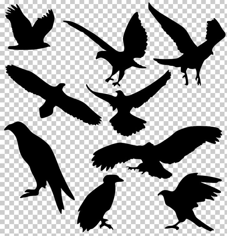 Silhouette Drawing PNG, Clipart, Animals, Art, Beak, Bird, Bird Of Prey Free PNG Download