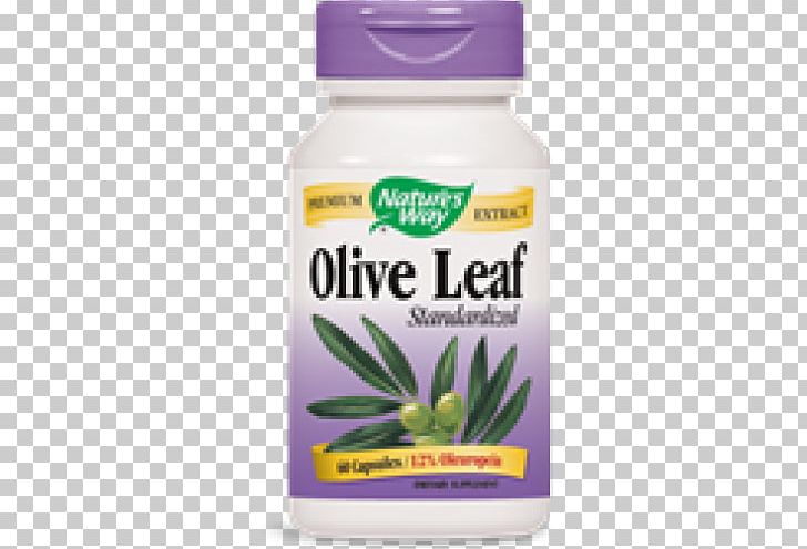 Dietary Supplement Olive Leaf Oleuropein Extract PNG, Clipart, Capsule, Dietary Supplement, Extract, Food, Food Drinks Free PNG Download