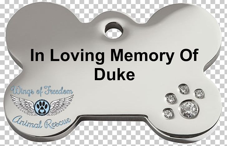 Dog Tag Dingo Cat Pet Tag PNG, Clipart, Angle, Animal, Animal Rescue, Animals, Cat Free PNG Download