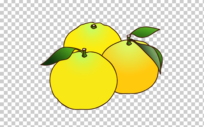 Lemon Citron Yellow Leaf Yuzu PNG, Clipart, Apple, Biology, Citron, Leaf, Lemon Free PNG Download