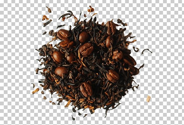 Assam Tea Green Tea Oolong Nilgiri Tea PNG, Clipart,  Free PNG Download