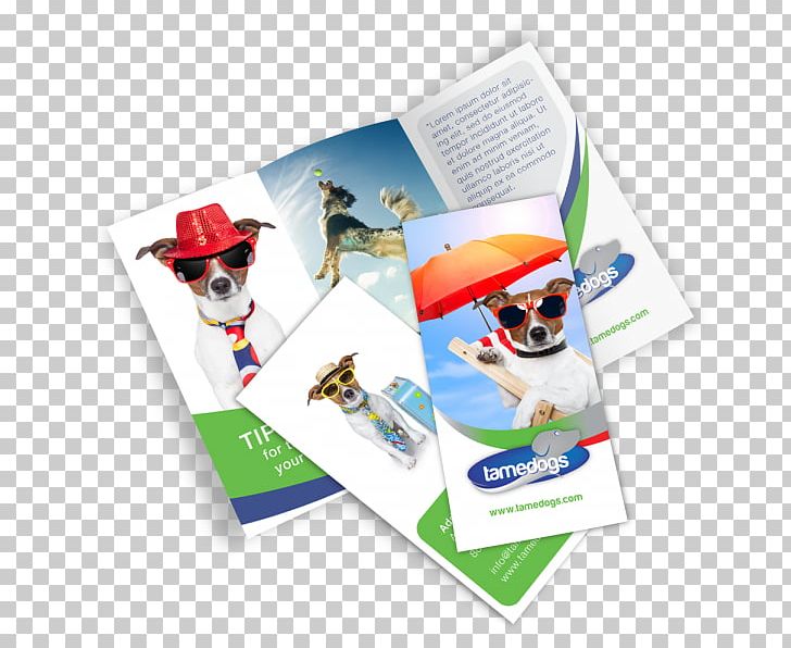 Brochure Mockup Template PNG, Clipart, Advertising, Art, Brand, Brochure, Catalog Free PNG Download