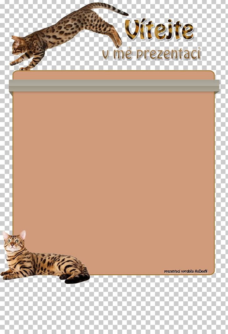 Cat Tiger Diet Food Rice PNG, Clipart, Animals, Bengal Cat, Big Cat, Big Cats, Carnivoran Free PNG Download