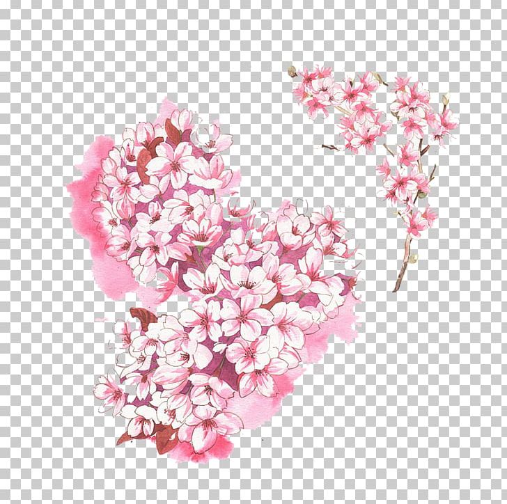 Cherry Blossom Cerasus PNG, Clipart, Cherry, Dream, Encapsulated Postscript, Family Tree, Flower Free PNG Download