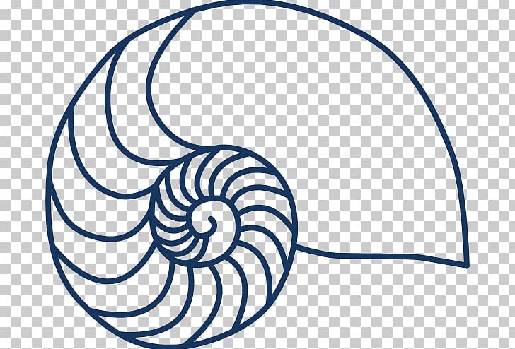 Nautilidae Seashell PNG, Clipart, Area, Artwork, Black And White, Chambered Nautilus, Circle Free PNG Download