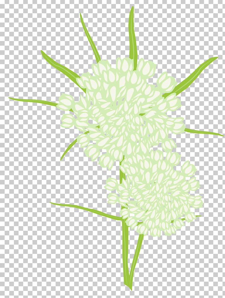 Oxeye Daisy Chrysanthemum Dahlia Cut Flowers Floral Design PNG, Clipart, Chrysanthemum, Chrysanths, Common Daisy, Cut Flowers, Dahlia Free PNG Download