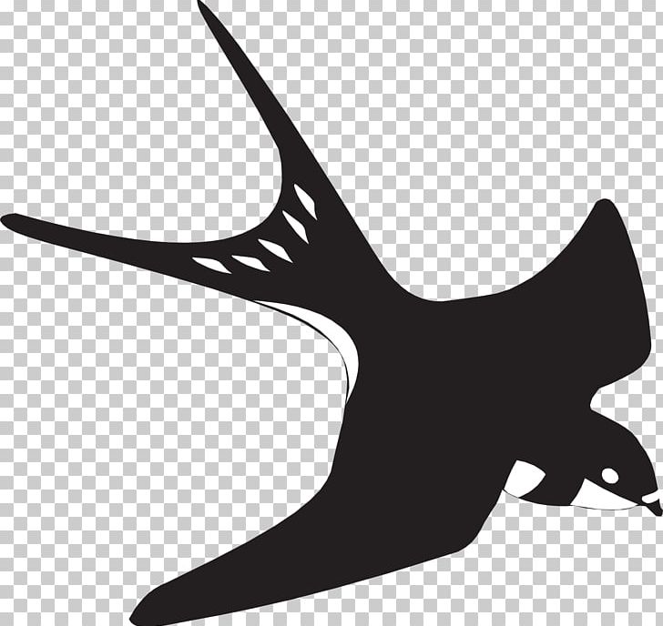 Swallow PNG, Clipart, Art, Barn Swallow, Beak, Bird, Black And White Free PNG Download