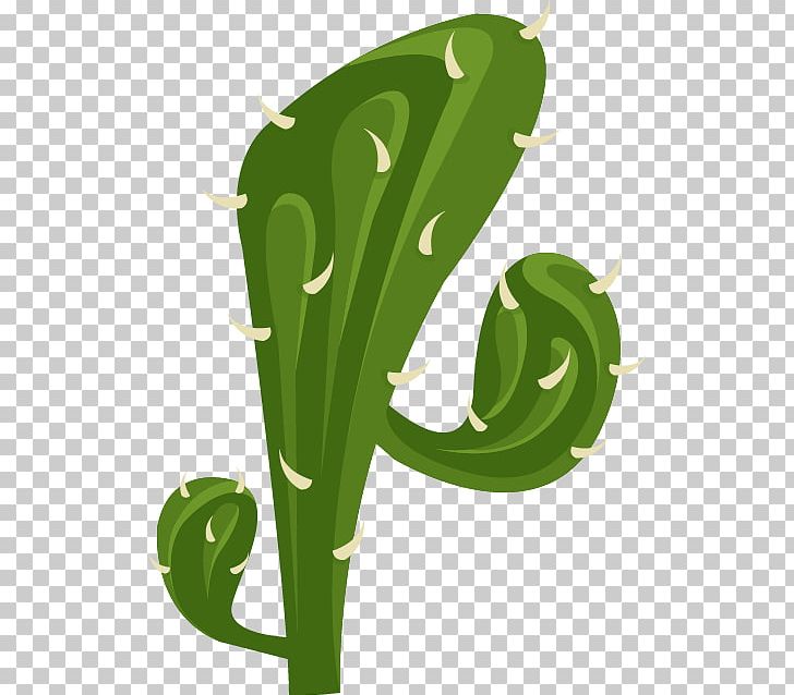 Cactaceae Euclidean Desert Illustration PNG, Clipart, Art, Cactus Vector, Cartoon, Christmas Decoration, Decoration Free PNG Download