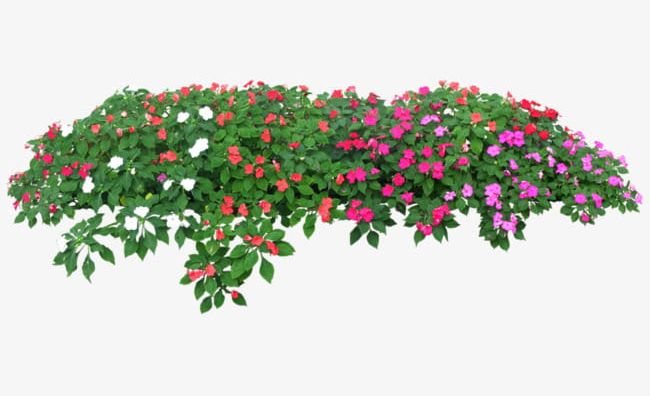 Flowers And Trees PNG, Clipart, Abstract, Backgrounds, Botany, Branch
