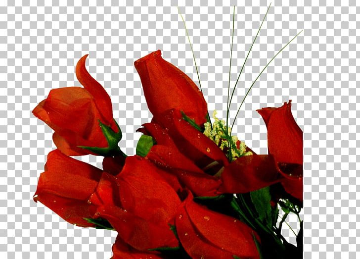 Garden Roses Cut Flowers Floral Design PNG, Clipart, Blog, Flora, Flores, Floristry, Flower Free PNG Download