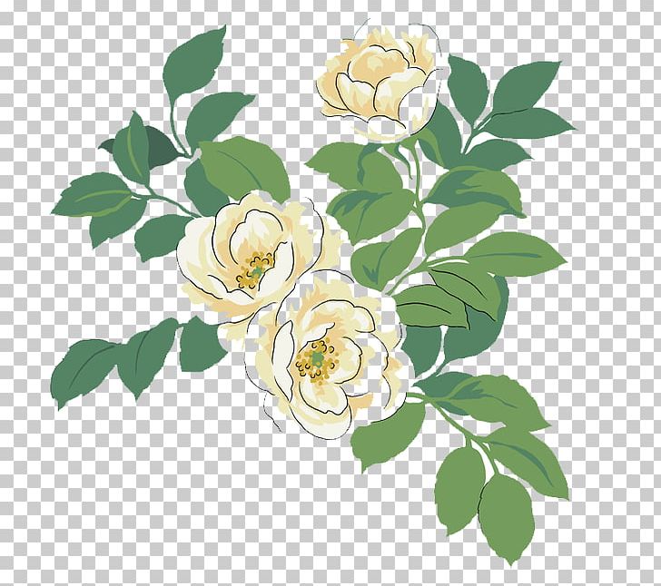 Japanese Camellia Red Watercolor Painting Illustration PNG, Clipart, Background White, Black White, Branch, Color, Cut Flowers Free PNG Download