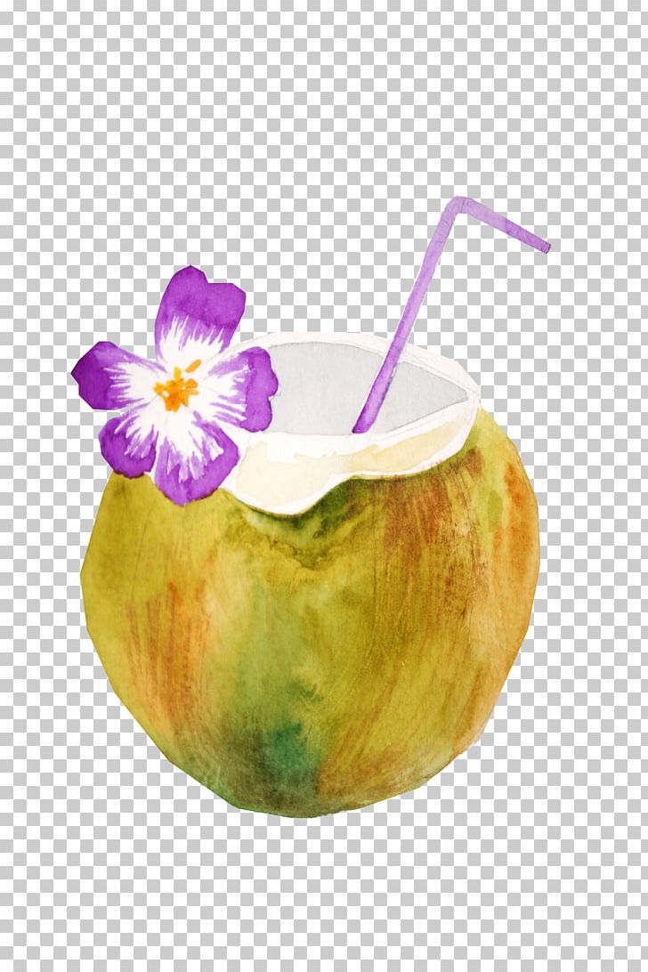 Coconut Milk Fruit Summer Drawing PNG, Clipart, Coconut, Coconut Water, Concepteur, Drawing, Flowers Free PNG Download