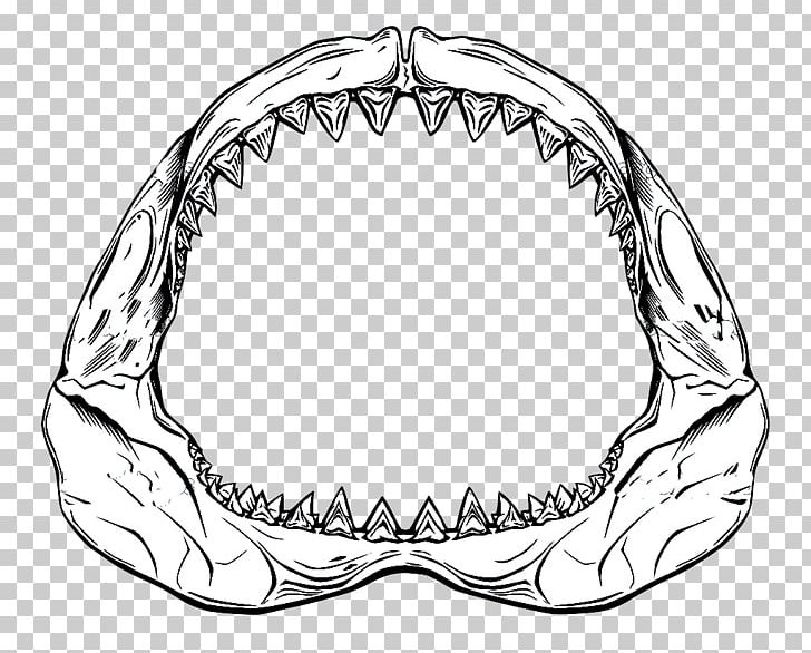 Shark Jaws Drawing PNG, Clipart, Animals, Art, Artwork, Black And White, Body Jewelry Free PNG Download