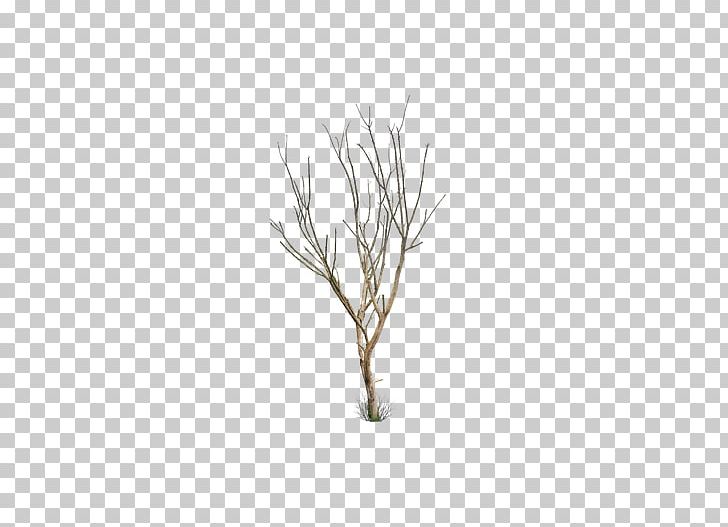 Tree Leaf Trunk PNG, Clipart, Black And White, Branch, Cold, Creative, Design Free PNG Download