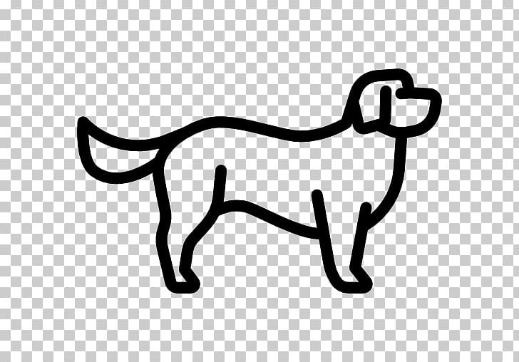 Avignon Bichon Frise Computer Icons PNG, Clipart, Animal, Area, Avignon, Bichon, Bichon Frise Free PNG Download