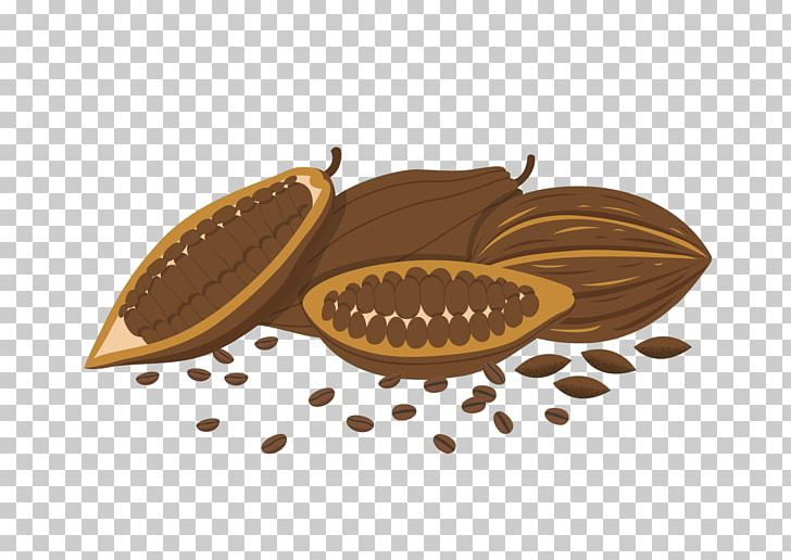 Coffee Bean Cocoa Bean PNG, Clipart, Bean, Beans, Beans Vector, Chocolate, Cocoa Bean Free PNG Download